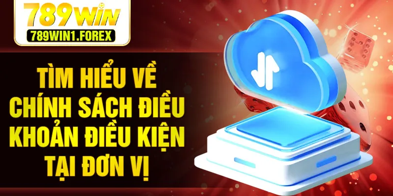 Tìm hiểu về chính sách điều khoản điều kiện tại đơn vị