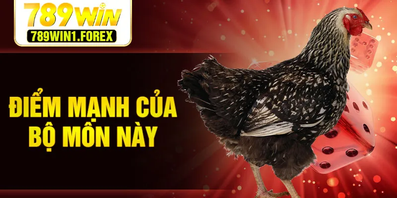 Điểm mạnh của bộ môn này