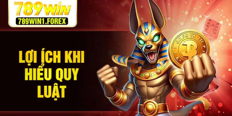 Lợi ích khi hiểu quy luật