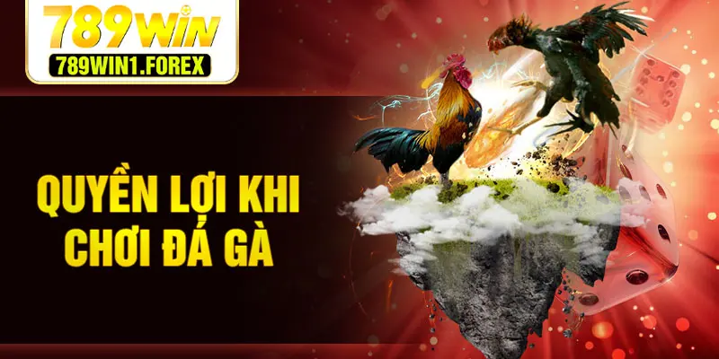 Quyền lợi khi chơi đá gà