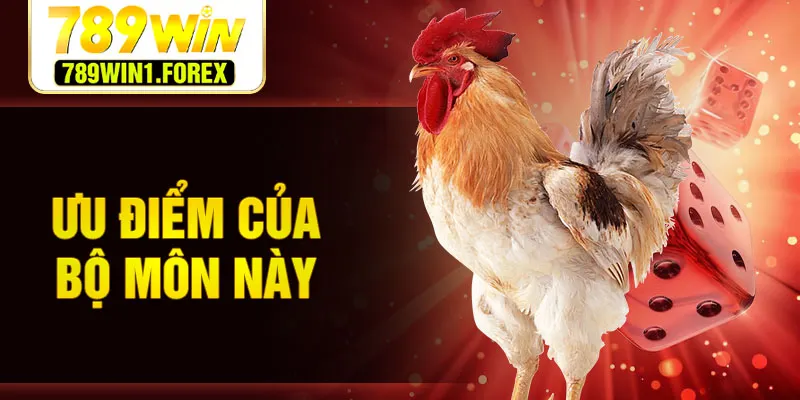 Ưu điểm của bộ môn này
