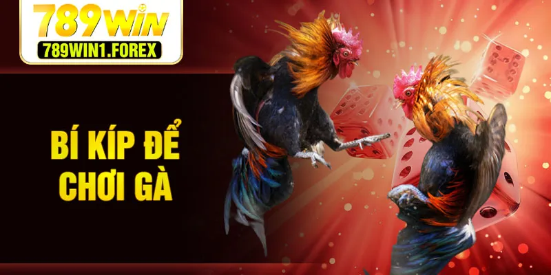 Bí kíp để chơi gà