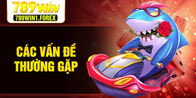Các vấn đề thường gặp