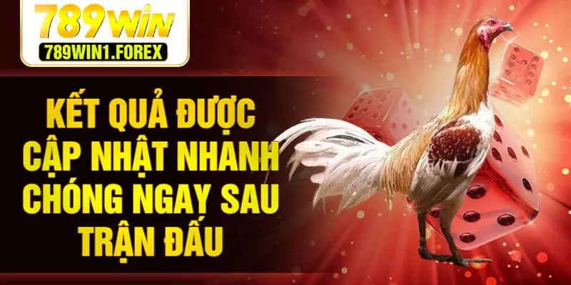 Kết quả được cập nhật nhanh chóng ngay sau trận đấu