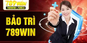 bao-tri-789win