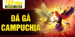 da-ga-campuchia