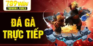da-ga-truc-tiep