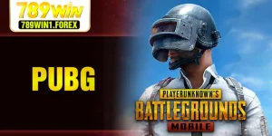 pubg